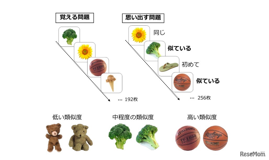 記憶テストのイメージ図