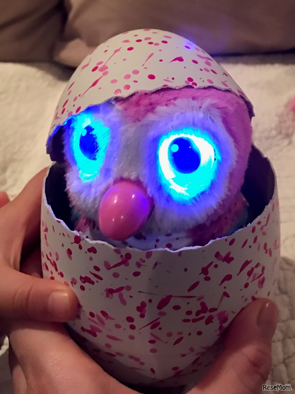 タマゴから頭が出た