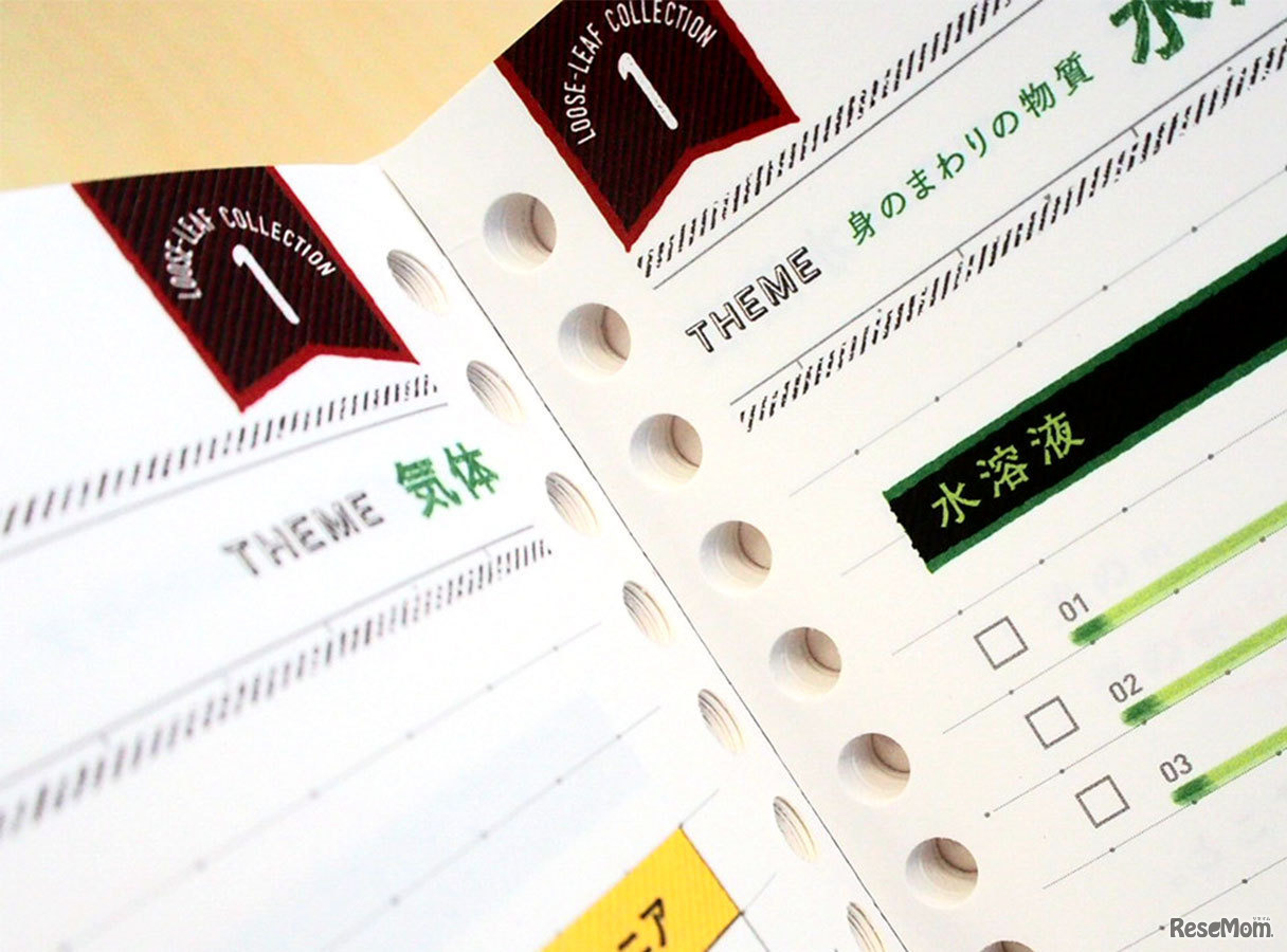 全ページに26穴があいている