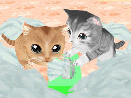 かわいい子猫DS3 かわいい子猫DS3