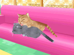 かわいい子猫DS3 かわいい子猫DS3