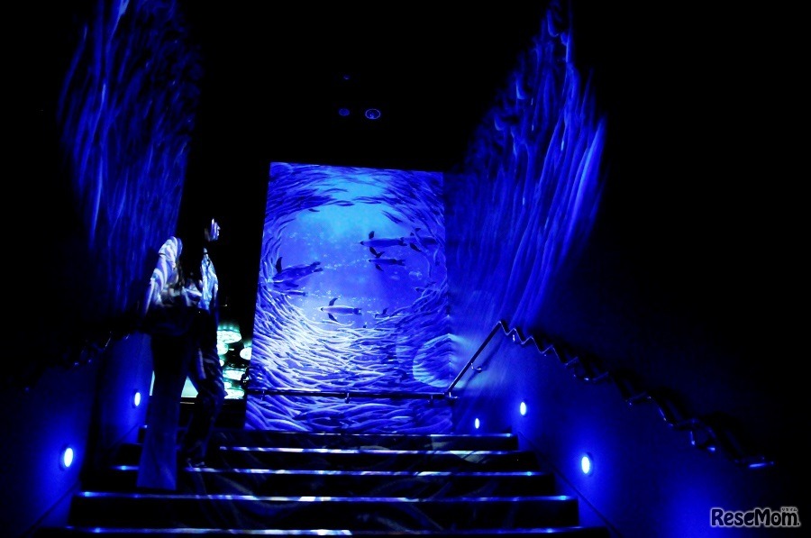 リアルな映像とサウンドで演出する「おさかなトンネル」が登場