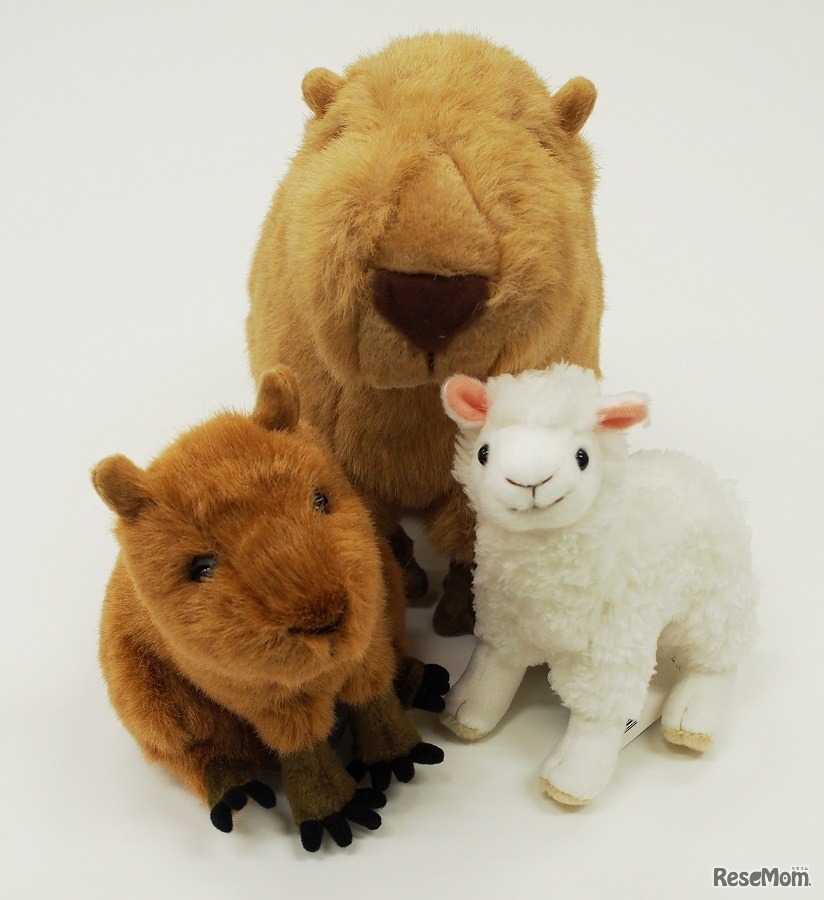 ショップではぬいぐるみを発売