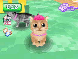 かわいい子猫DS3 かわいい子猫DS3