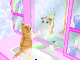 かわいい子猫DS3 かわいい子猫DS3