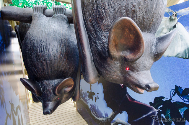 ツインリンク迷宮森殿