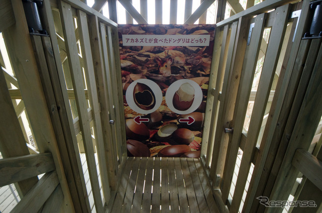 ツインリンク迷宮森殿