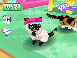 かわいい子猫DS3 かわいい子猫DS3