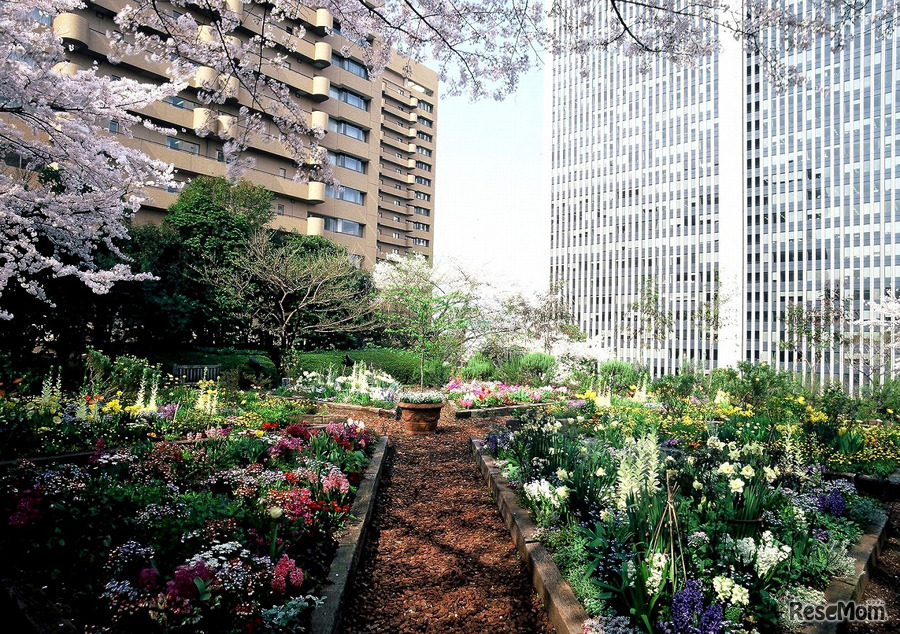 春のルーフガーデン特別公開