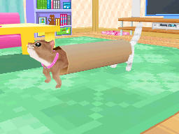 かわいい子猫DS3 かわいい子猫DS3