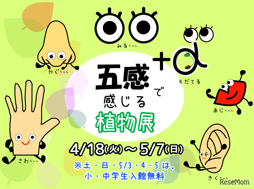 五感で感じる植物展