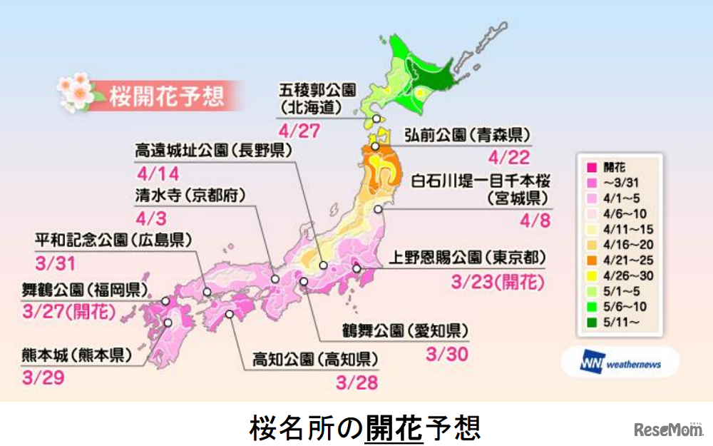 ウェザーニューズ　桜名所開花予想