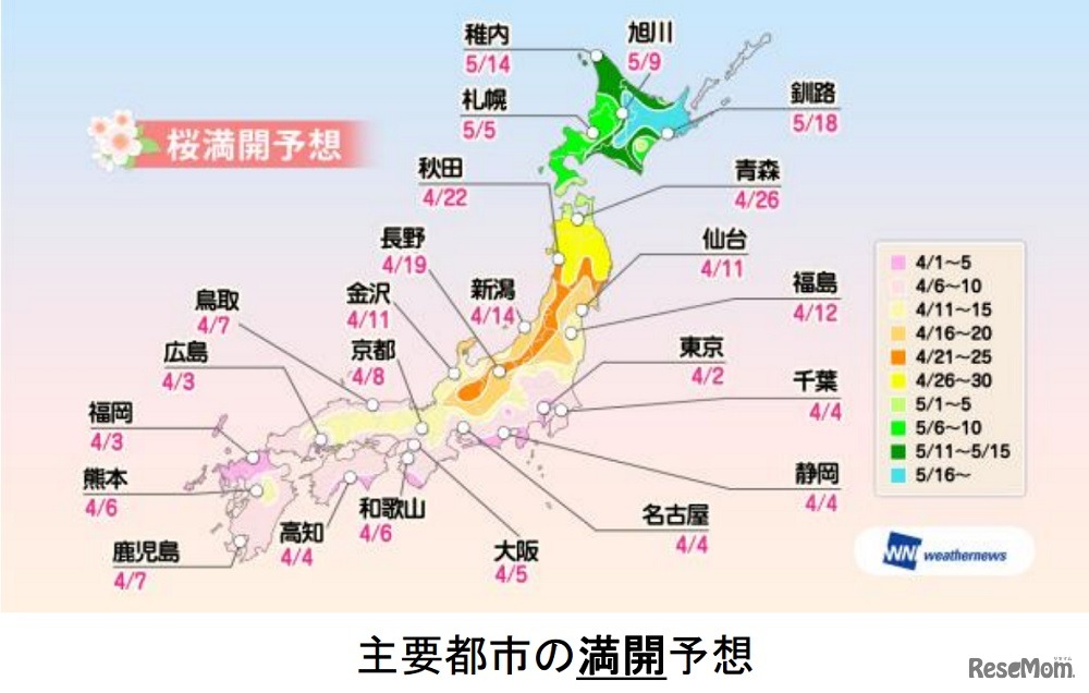 主要都市満開予想