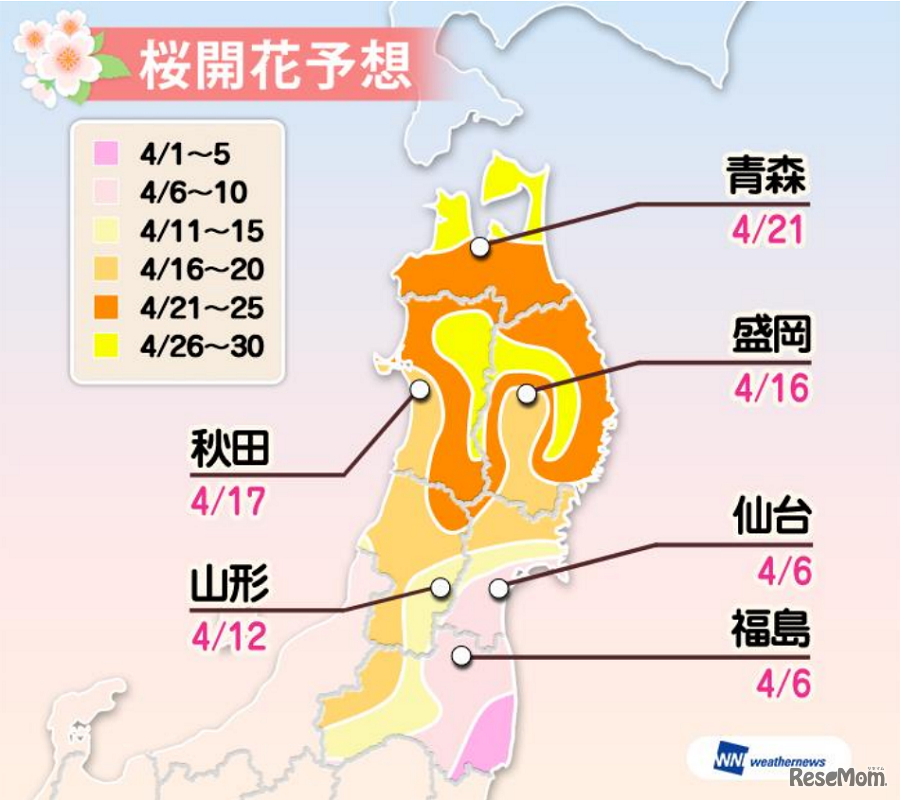 開花予想（東北）