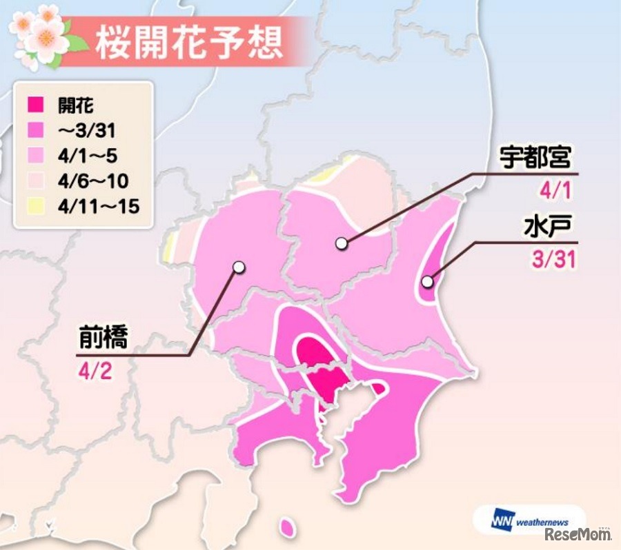 開花予想（関東）