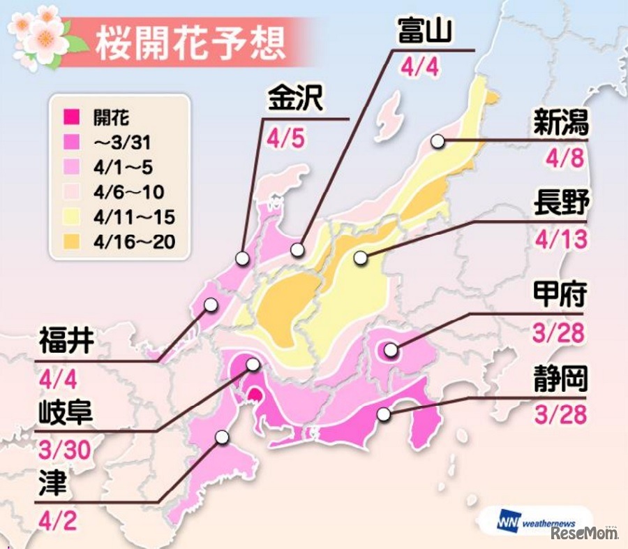 開花予想（中部）