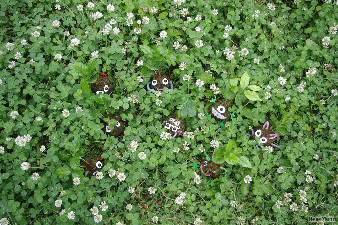 ワークショップ　“みどりのともだち”こけだまづくり