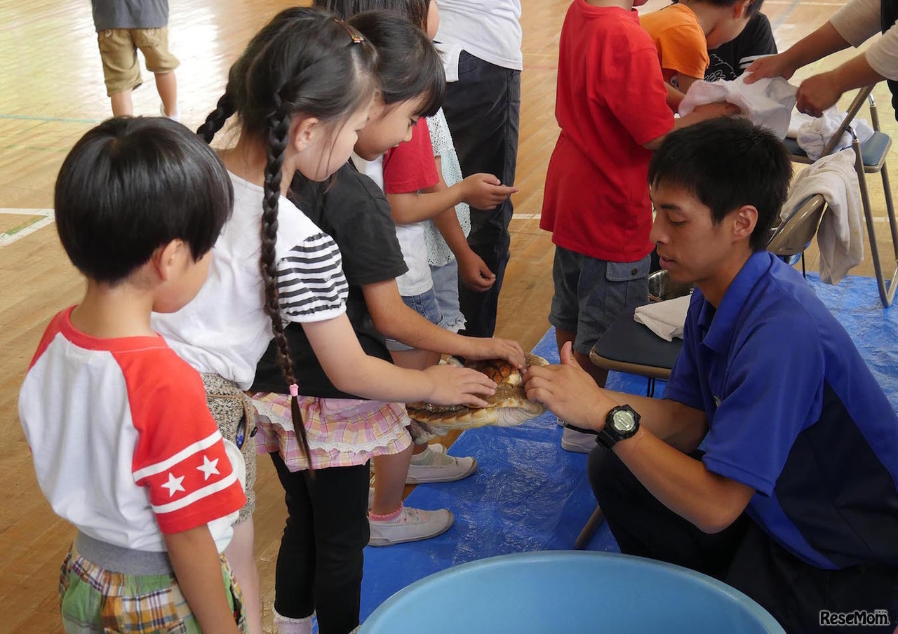 ウミガメ移動教室のようす