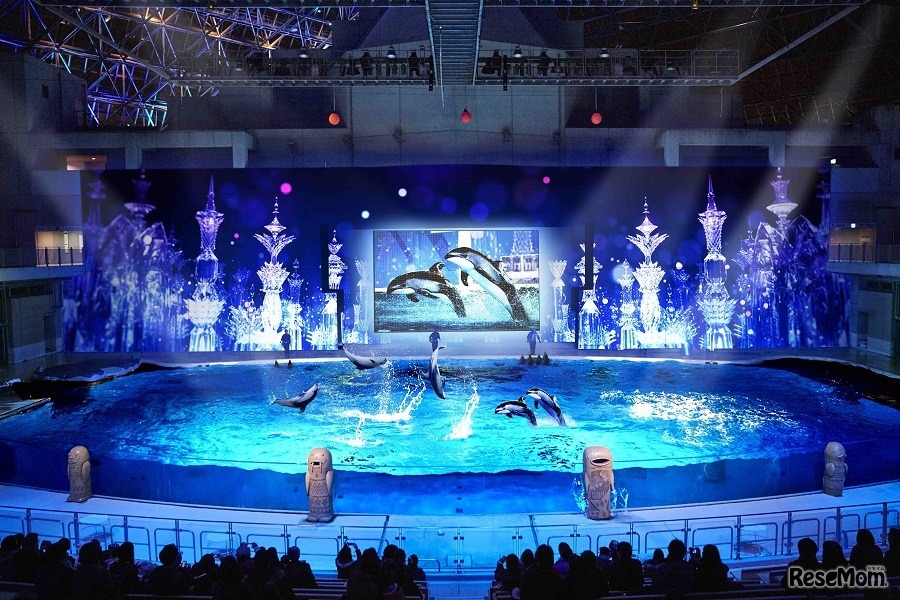 幻想的な大人向けのミュージカル仕立てのナイトショー