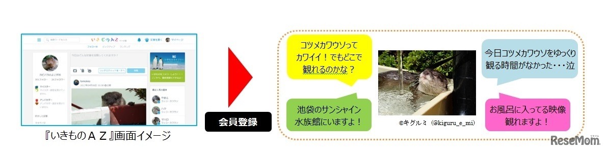 「いきものAZ」画面イメージ