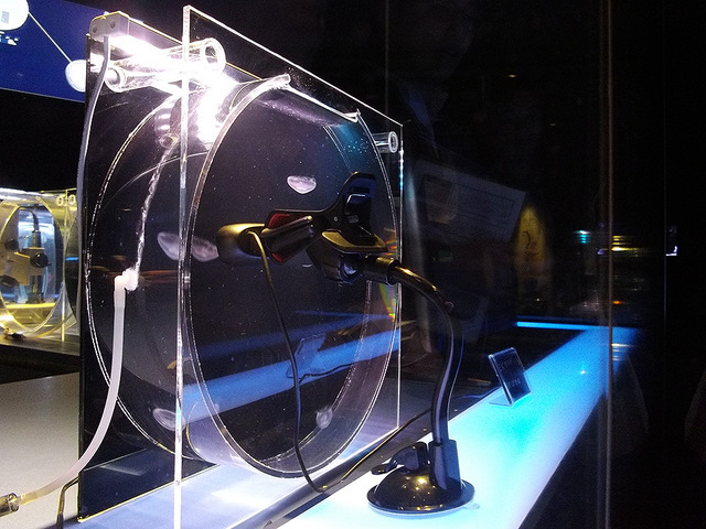 すみだ水族館 新展示「ワンダークラゲ」（2017年4月25日 報道公開時）