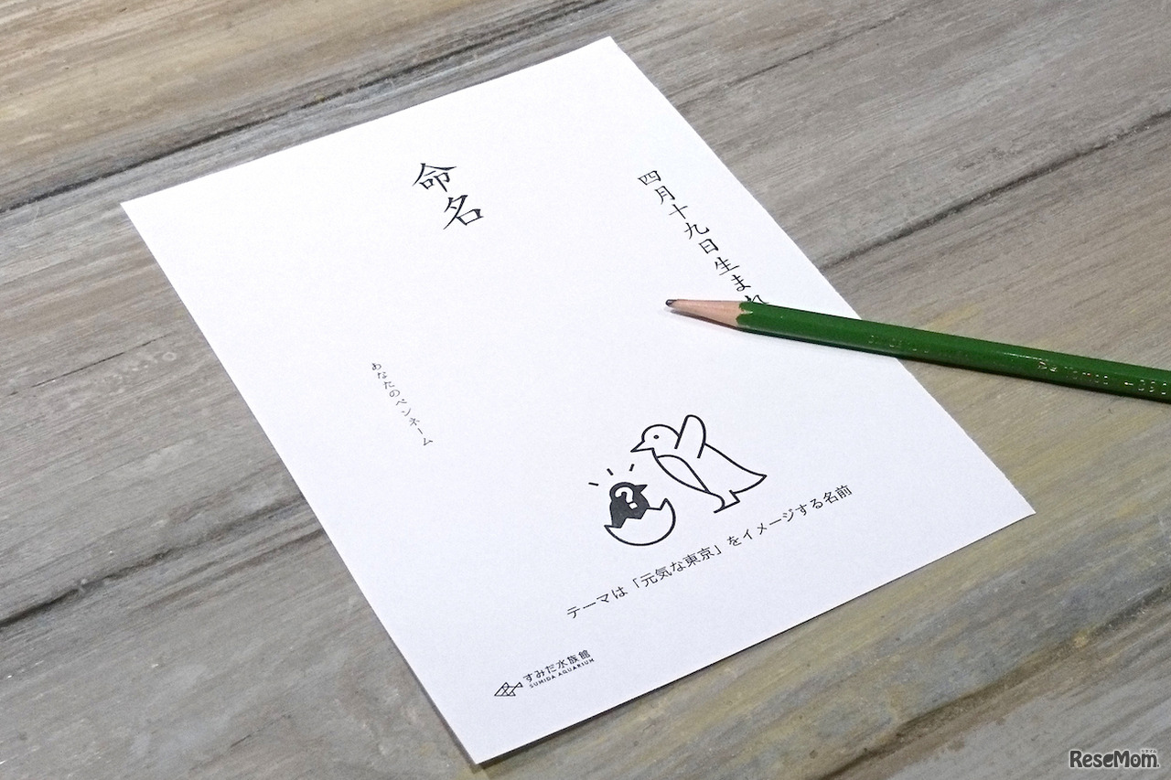 赤ちゃんペンギンの名前 応募用紙（イメージ）