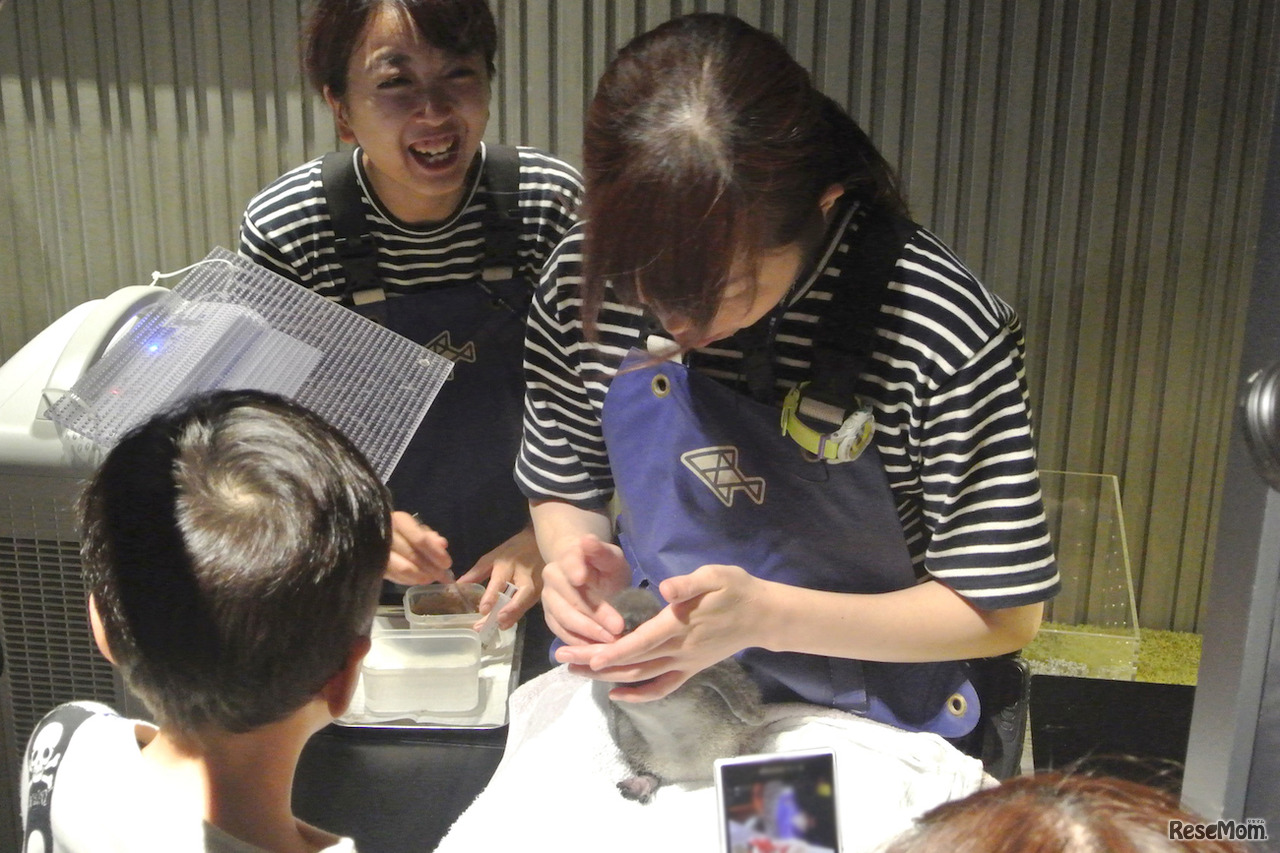 ごはんを食べる赤ちゃんのようす