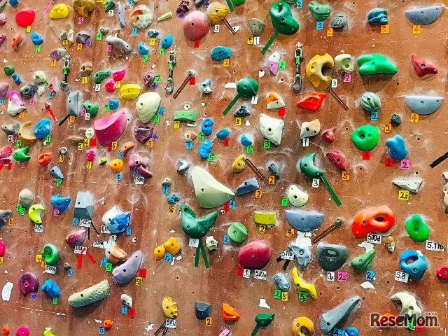 画像はイメージ