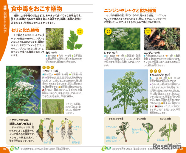 危険・有毒生物