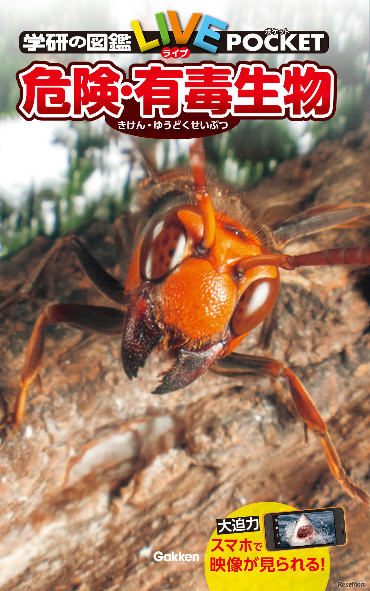 危険・有毒生物