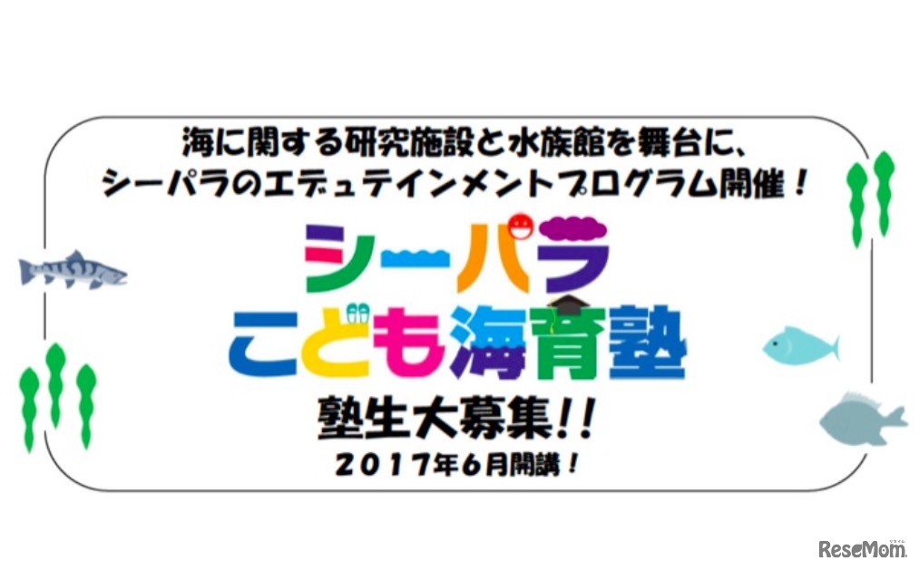 シーパラこども海育塾 塾生募集