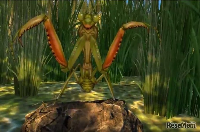 「VR昆虫キングダム」は昆虫の世界に入り込んで生態を疑似体験