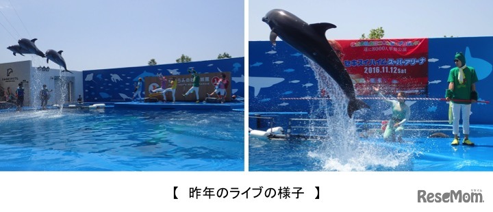 昨年のライブのようす