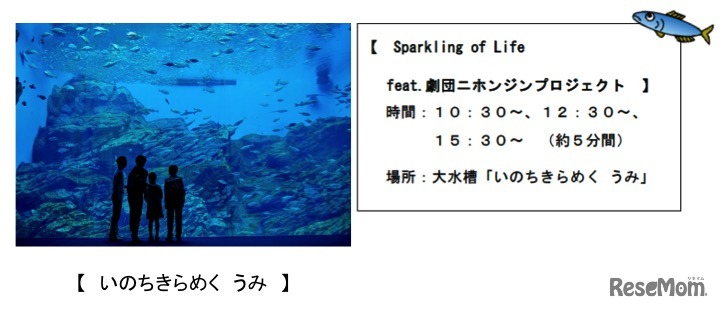 大水槽「いのちきらめく　うみ」のようす