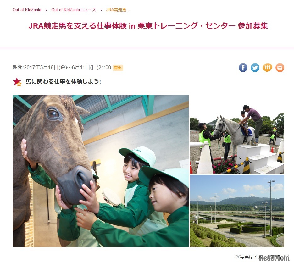 JRA競走馬を支える仕事体験