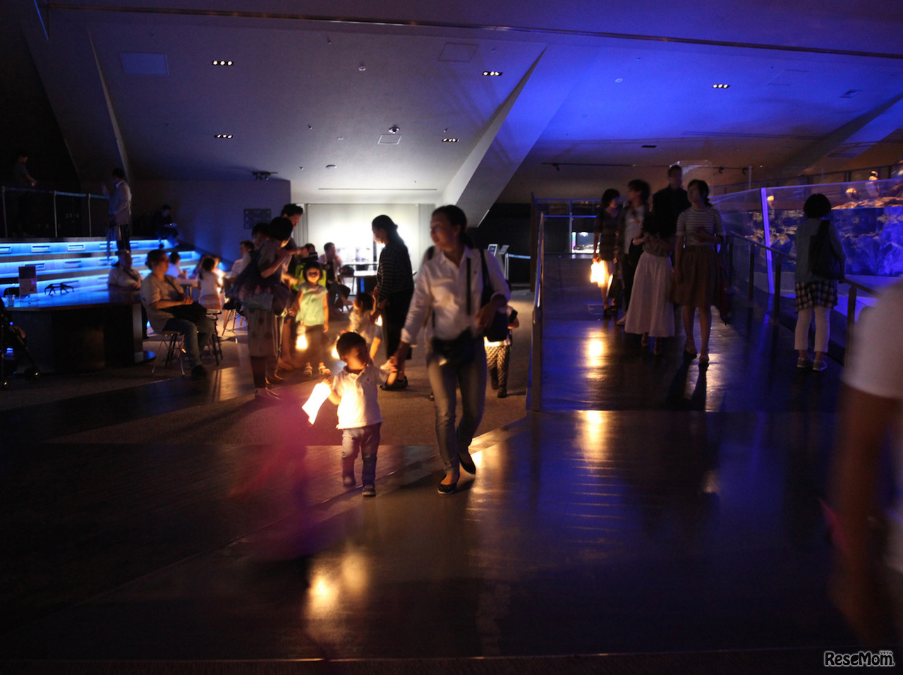 ランタンを持って観賞（2016年開催時のようす）