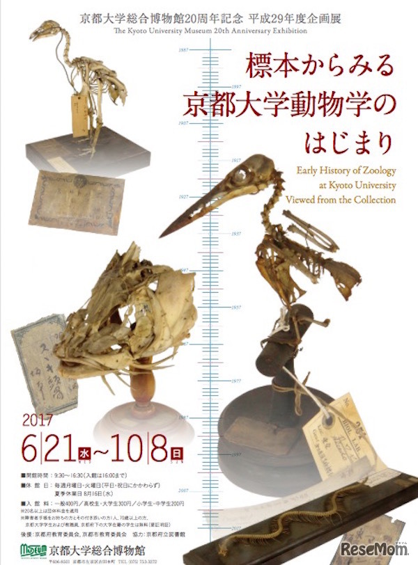 京都大学総合博物館 創立20周年記念 平成29年度企画展「標本からみる京都大学動物学のはじまり」