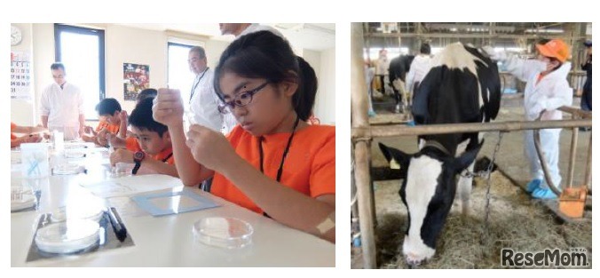 2016年開催のようす