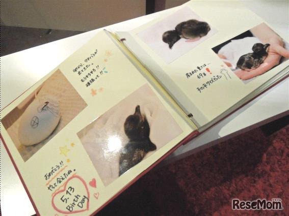 【展示】こんなに大きくなりました！「すくすくアカデミー」で閲覧できる成長の記録