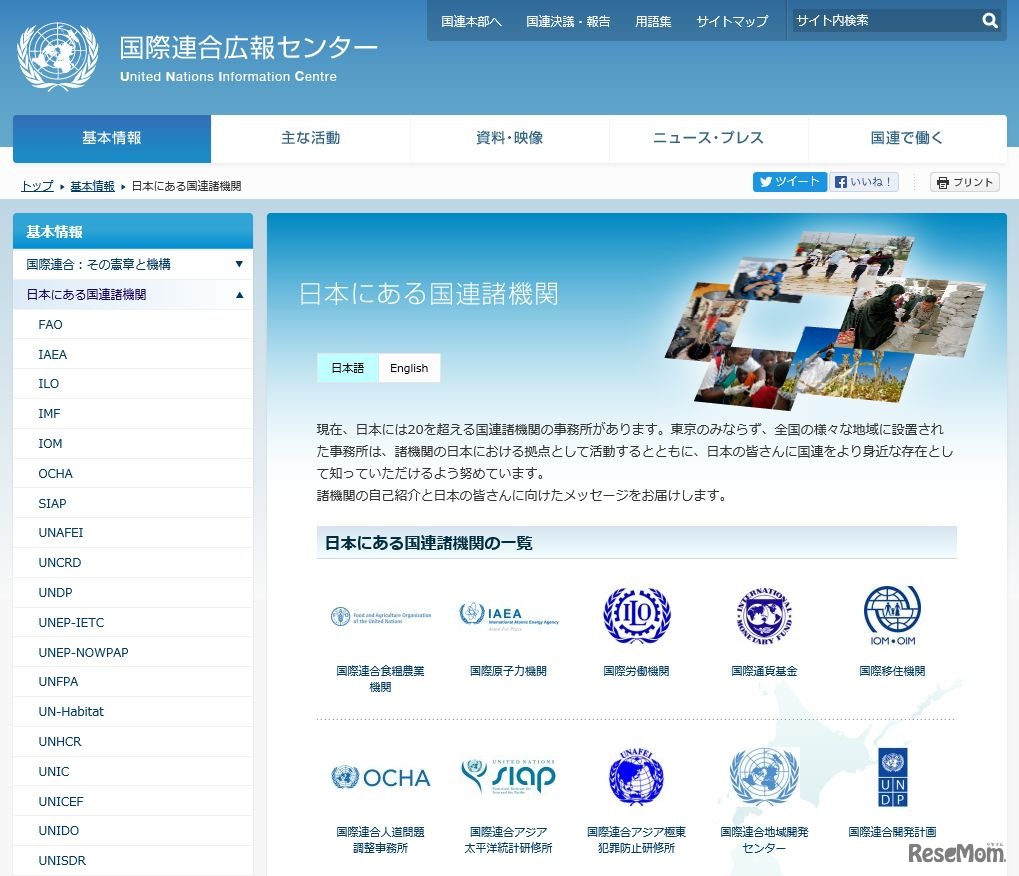 国際連合広報センター