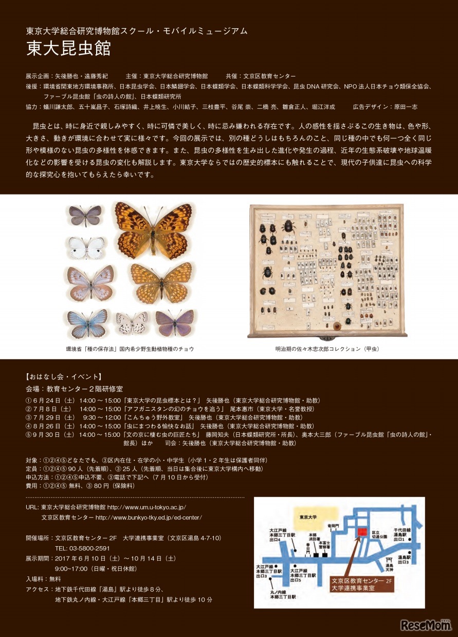 東大昆虫館パンフレット（イベント内容・アクセスなど）