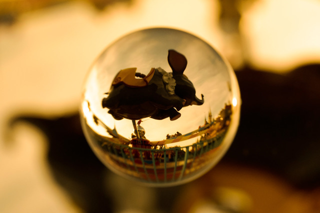 上原ゼンジ／「東京ディズニーリゾート・フォトグラフィープロジェクト『イマジニング・ザ・マジック』」