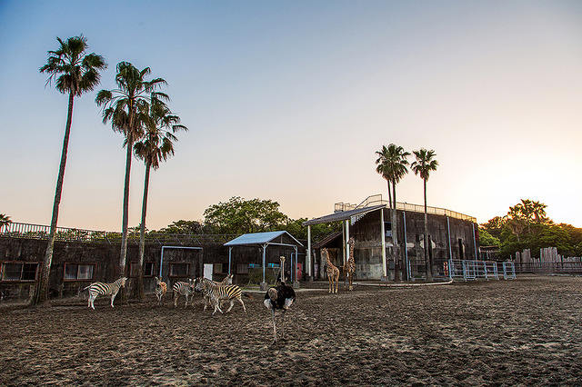 トワイライトZOO