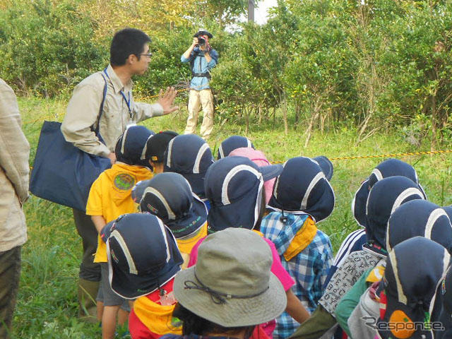 見沼たんぼ首都高ビオトープでの自然体験イベント（18日）