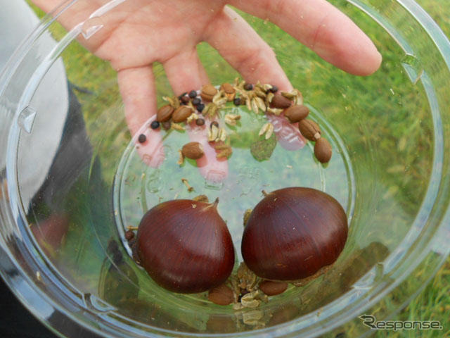 見沼たんぼ首都高ビオトープでの自然体験イベント（18日）