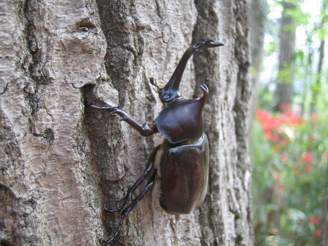 親子で遊べる「じゃぶじゃぶパラダイス」オープン…さがみ湖リゾートプレジャーフォレスト