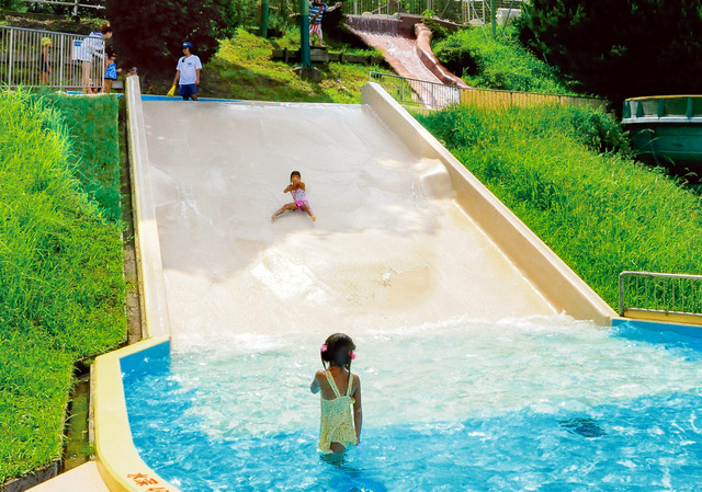 ひらかたパーク、夏限定の屋外プール「ザ・ブーン」オープン