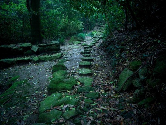 苔むした渡り石