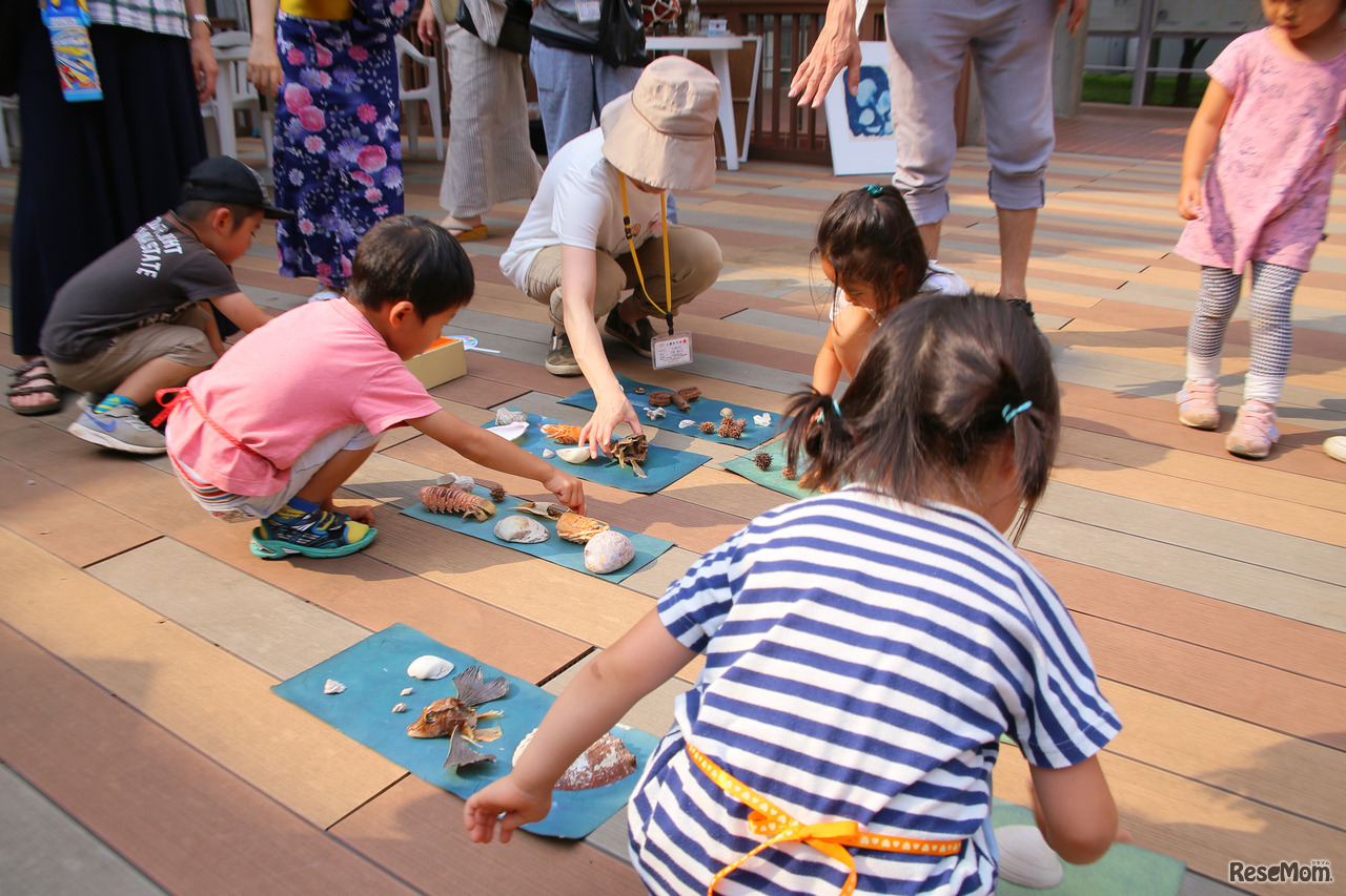夜空に願いを「夜空をつくるワークショップ」小川町の和紙をつかって自分の夜空を創ろう・日光写真作品を作る子どもたちのようす（十文字学園女子大学 織姫祭2017）