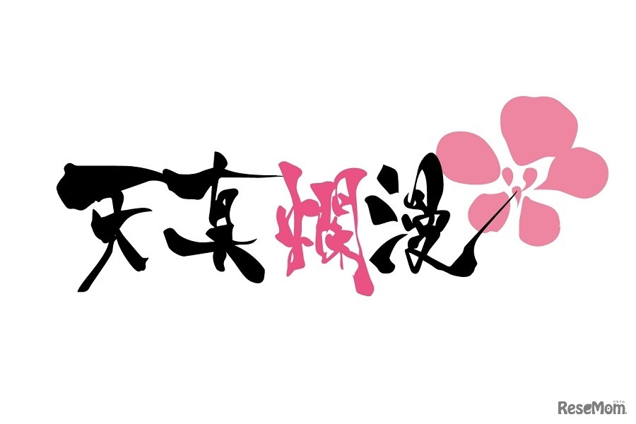 「天真爛漫」は東大女子が設立した合同会社